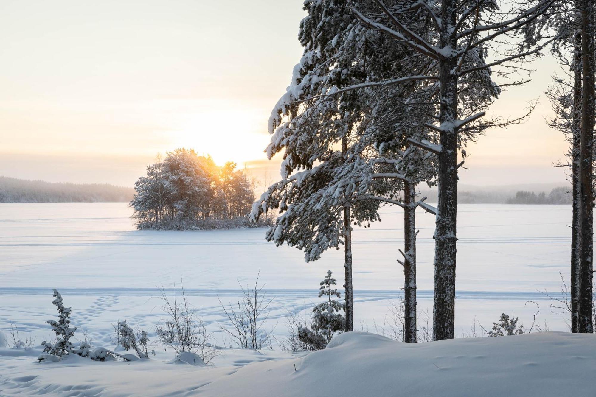 Lapland Arctic Cabins Kemijärvi Exterior foto