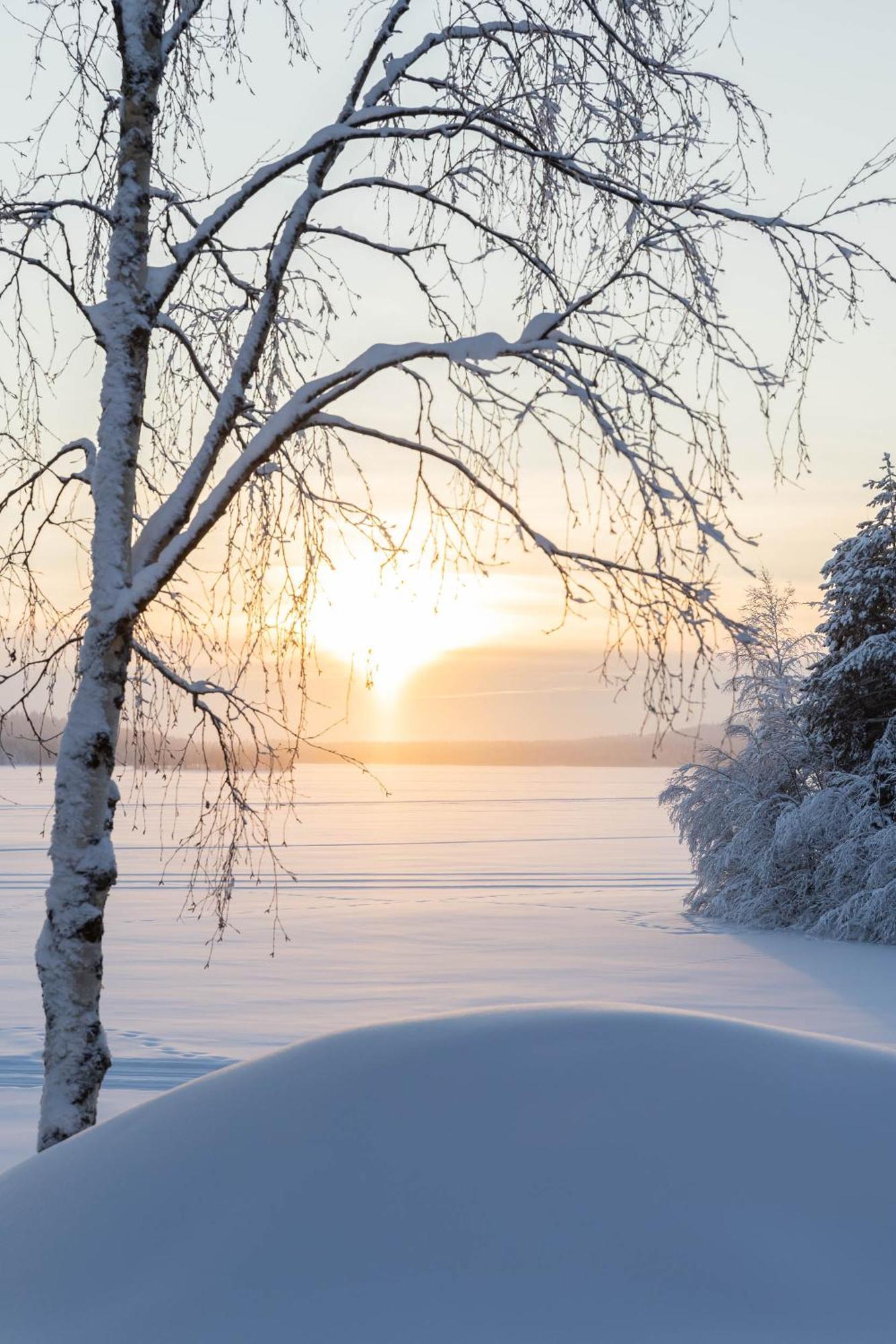 Lapland Arctic Cabins Kemijärvi Exterior foto